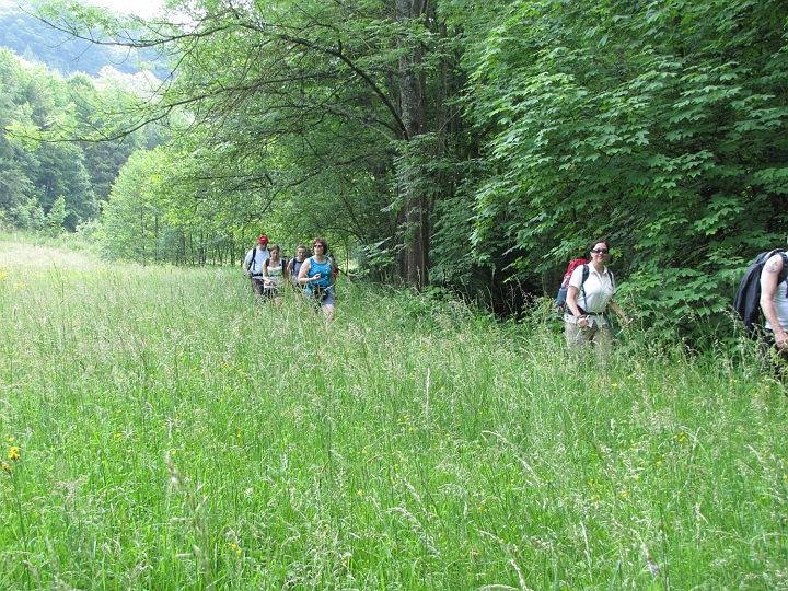 Wanderung 2013_019.jpg